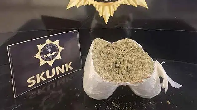 Muş'ta yolcu otobüsünde 2 kilo 72 gram skunk ele geçirildi