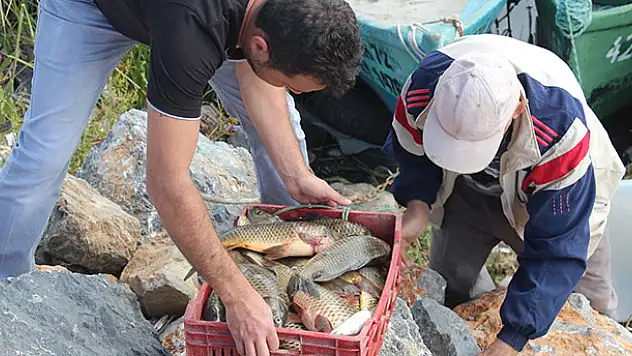 'Nadir balıklar' özenle korunuyor