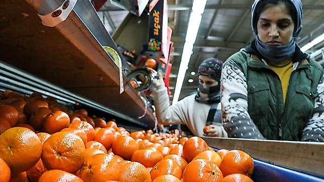 Narenciye ihracatı 2025'te Türkiye'ye 1 milyar 477 milyon 58 bin dolar kazandırdı