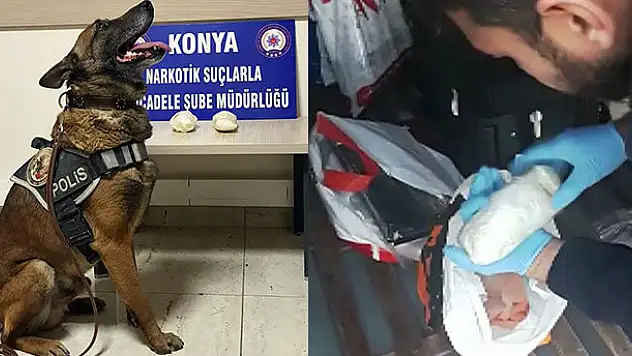 Narkotik köpeği Oscar, otobüste uyuşturucu madde buldu