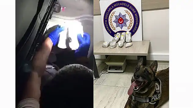 Narkotik köpeği tepki verdi, zulalardan esrar çıktı