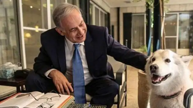 Netanyahu'nun köpeği Kaiya konuklarını ısırdı