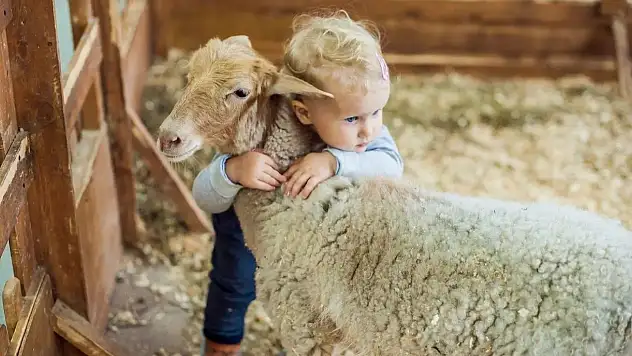 NEÜ'lü uzmandan bayram uyarısı