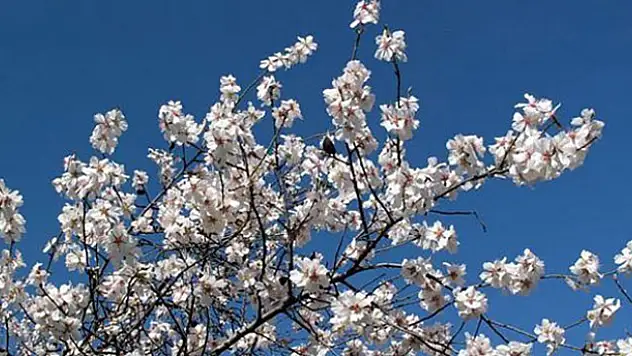 Nevruz nedir? Nevruz ne anlama gelir?