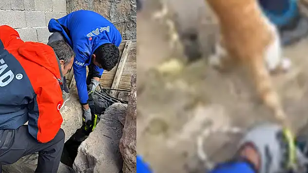 Nevşehir'de 25 metrelik kuyuya düşen kediyi AFAD kurtardı