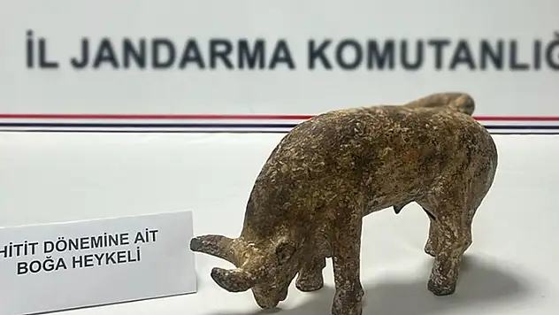 Nevşehir'de 3 bin yıllık olduğu değerlendirilen boğa heykeli ele geçirildi
