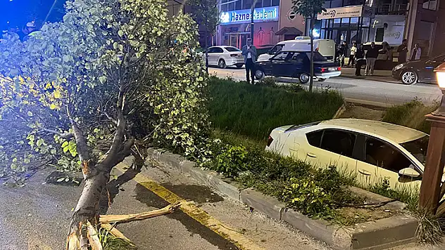 Nevşehir'de çarpışan 2 otomobilden 1'i su kanalına düştü