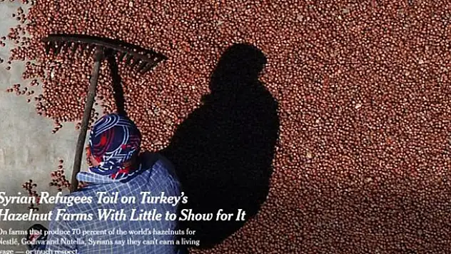 New York Times: Türkiye'den fındık almayın