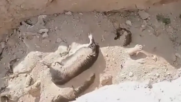 Niğde Belediyesinden 'hayvan mezarlığı' açıklaması
