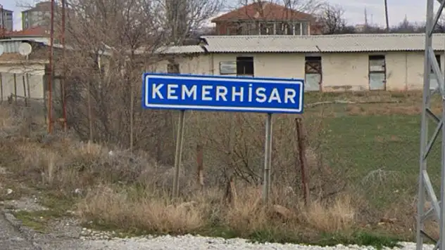 Niğde'de sokak köpeğinin bir kişiyi ısırdığı belde karantinaya alındı
