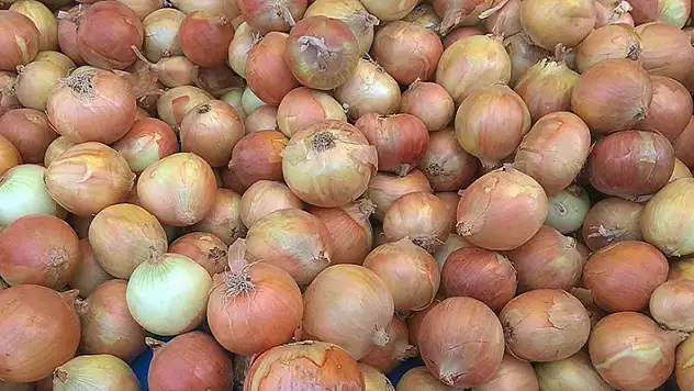 Nisan ayının zam şampiyonu kuru soğan ve kıvırcık oldu! 
