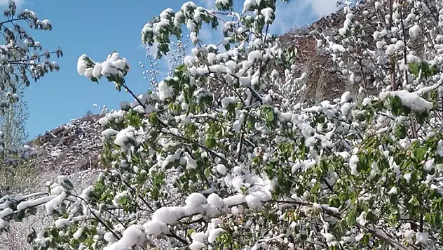 Nisanda Konya merkez ve 3 ilçede en düşük sıcaklık rekoru kırıldı