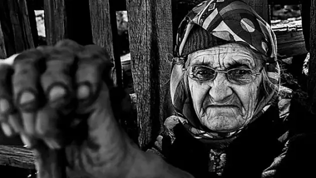 Nüfusumuzun yüzde kaçı yaşlı?