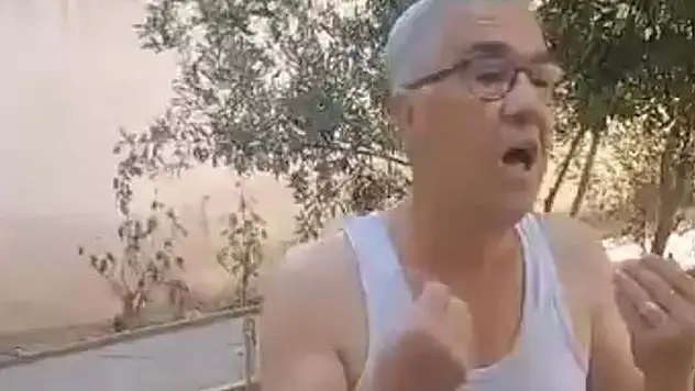O cani tutuklandı! 3 yavru kediyi, mutfağına girdiği için öldürmüş
