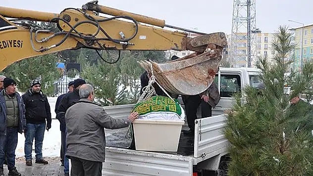 Obez hastanın cenazesi mezara kepçeyle konuldu