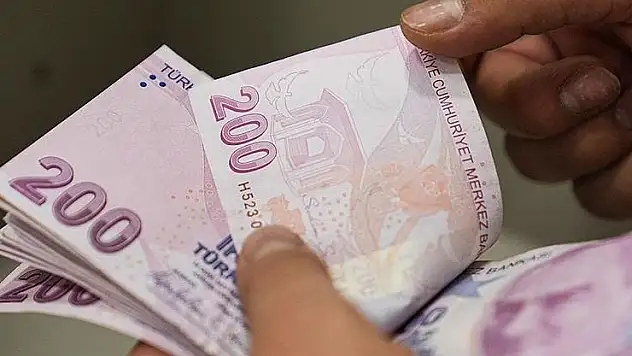 Ocak ayı Sosyal ve Ekonomik Destek ödemeleri hesaplara yatırıldı