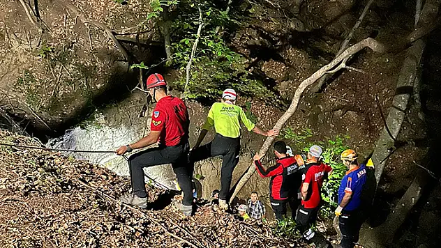Odun toplamak üzere ormana gitti 10 saat sonra cansız bedeni bulundu
