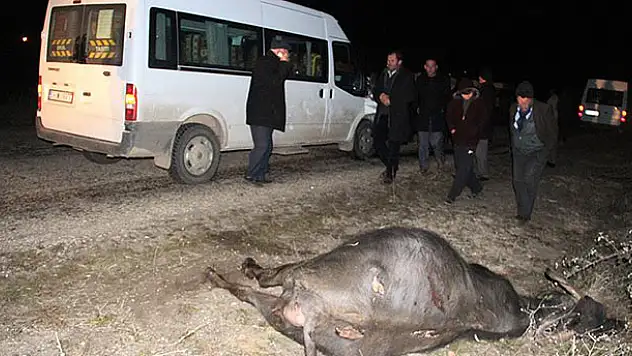 Öğrenci servisi mandaya çarptı: 14 yaralı