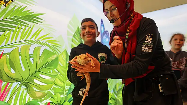 Öğrenciler Avustralya çöllerinde yaşayan sakallı ejderle Konya Tropikal Kelebek Bahçesi'nde tanışıyor