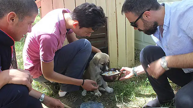 Öğrenciler hayvanlar için barınaklar yaptı