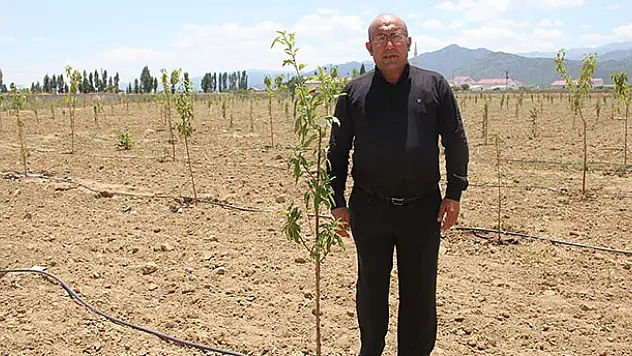 Öğrenciler kıraç araziyi meyve bahçesine dönüştürdü
