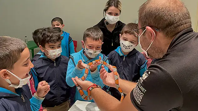 Öğrenciler Konya Tropikal Kelebek Bahçesi'nde egzotik hayvanlarla tanışıyor
