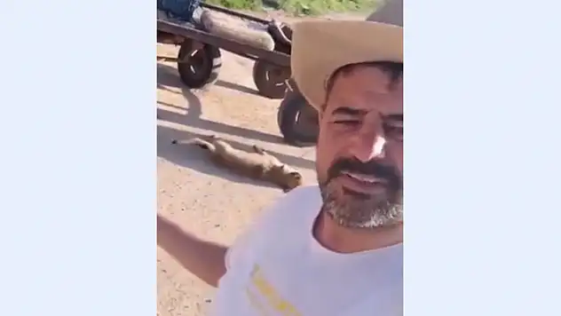 Öldürdüğü köpeği at arabası arkasında sürükleyip görüntüleyen şüpheli gözaltına alındı

