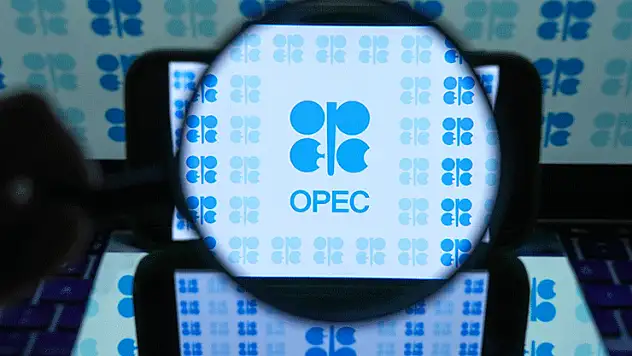 OPEC'in ham petrol üretimi temmuzda günlük 263 bin varil arttı