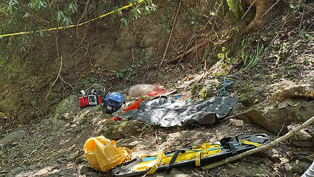 Ordu'da fındık toplarken uçurumdan düşen vatandaş hayatını kaybetti