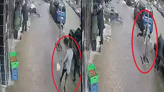 Ordu'da kuvvetli rüzgar ağaca tutunarak ayakta kalabildi
