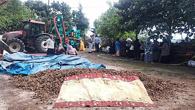 Ordu'da silahlı saldırı: 2 ölü