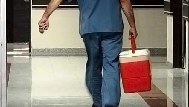 Organ nakli sayısı 12 yılda 6 kat arttı