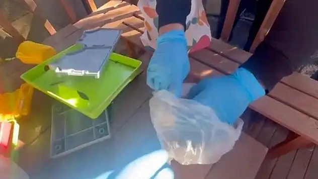 Organize suç örgütlerine yönelik 12 ildeki operasyonlarda 109 şüpheli yakalandı