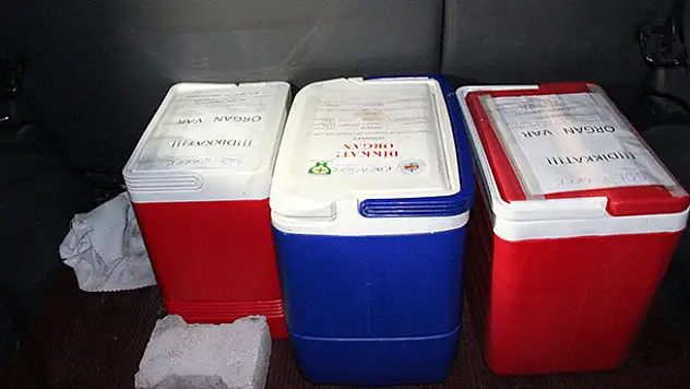 Organları 4 hastaya umut oldu