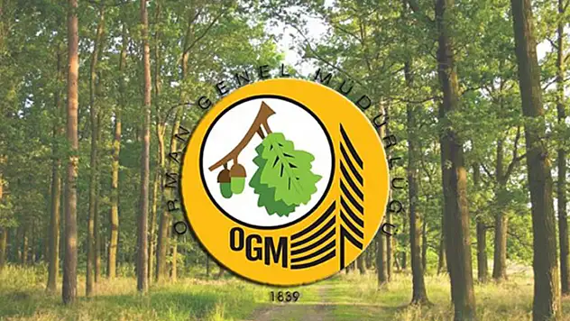 Orman Genel Müdürlüğü 2 bin 83 işçi alımı yapacak

