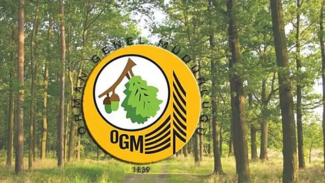 Orman Genel Müdürlüğü 22 orman mühendisi alacak

