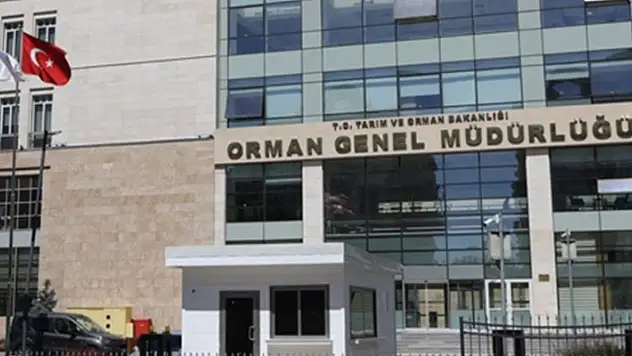 Orman Genel Müdürlüğü 22 orman mühendisi alacak