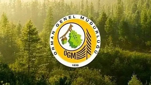 Orman Genel Müdürlüğü 249 Orman Mühendisi alıyor