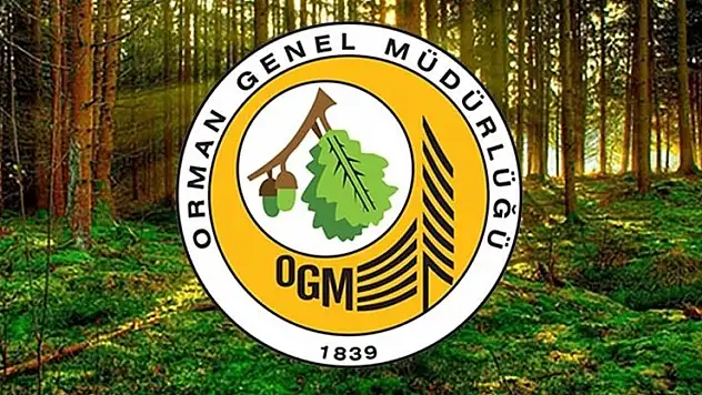 Orman Genel Müdürlüğü 262 daimi işçi alacak