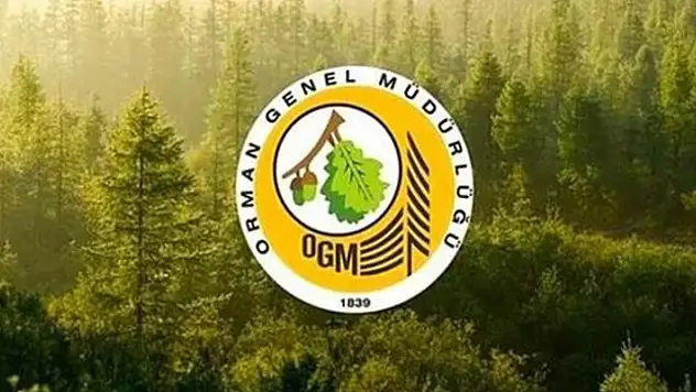 Orman Genel Müdürlüğü 5 bin geçici işçi alacak
