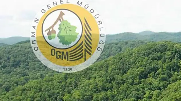Orman Genel Müdürlüğü 50 Orman Endüstri Mühendisi alıyor

