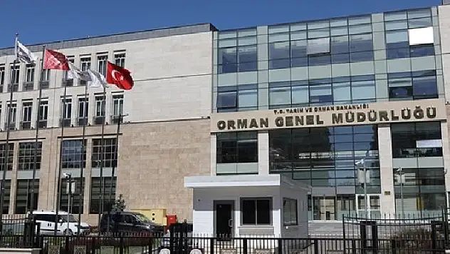 Orman Genel Müdürlüğü 74 daimi işçi alımı alacak
