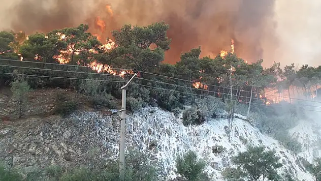 Orman yangını çıkarmak için gelen PYD/PKK'lı 2 terörist yakalandı