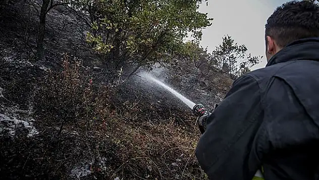 Orman yangınlarına karşı 'gönüllü' seferberliği