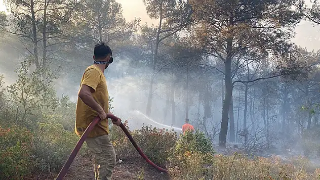 Orman yangınlarına neden oldukları gerekçesiyle bir haftada 7 şüpheli gözaltına alındı
