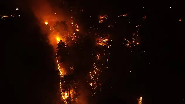 Orman yangınlarının yüzde 48'i ihmal, dikkatsizlik ve kaza sonucu çıktı
