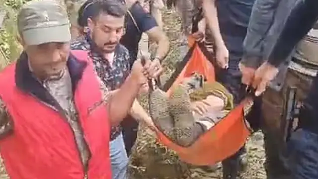 Ormanda kaybolan kadın, ekipler tarafından bulundu

