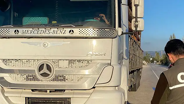 Ormanda mobil kontrol noktalarıyla şok denetimler