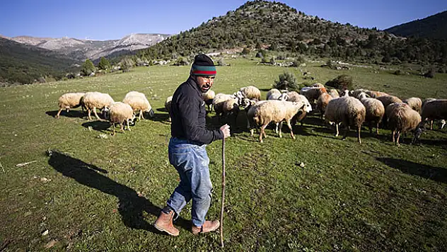 Ormanda yalnız yaşayan çobanın yüzü baharın gelişiyle güldü