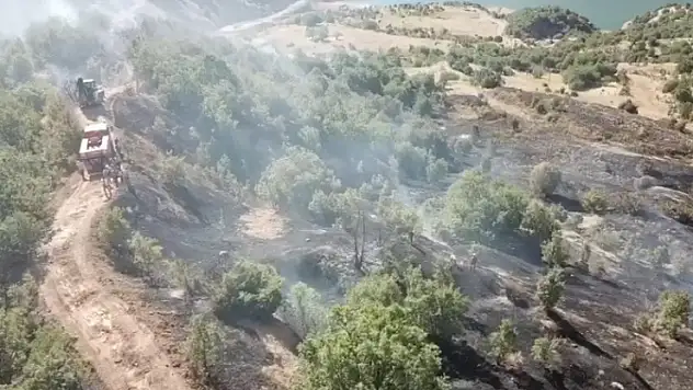 Ormanlık alanda çıkan yangın büyümeden söndürüldü